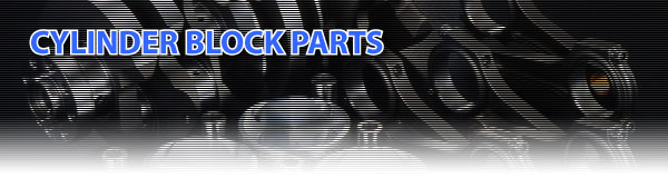 CYLINDER BLOCK PARTS