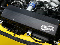 AIR INTAKE BOX