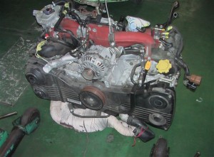 IMGA0962