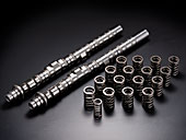 CAMSHAFT KIT STAGE 1 for K20A