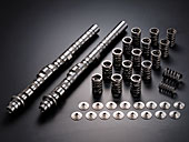 CAMSHAFT KIT STAGE 2 for K20A