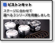 PISTON KIT