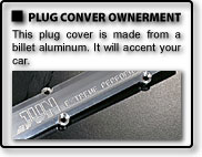 PLUG COVER ORNAsMENT