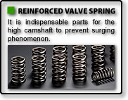 RACING VALVE SPRING