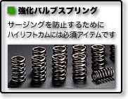 RACING VALVE SPRING